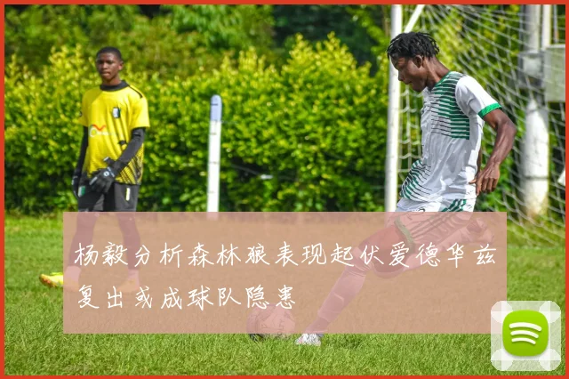 杨毅分析森林狼表现起伏爱德华兹复出或成球队隐患